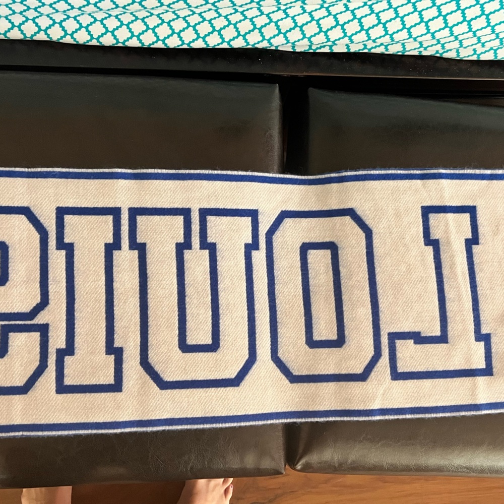 BRAND NEW WITHOUT TAG LOUIS VUITTON BLUE WOOL LOUIS CITY SCARF - Picture 4 of 5